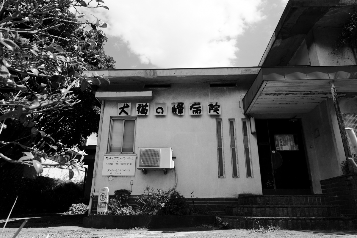 c0084666_15131604.jpg