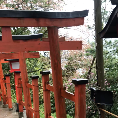 やることやってるから神頼みしかない(笑)_e0158970_16182614.png