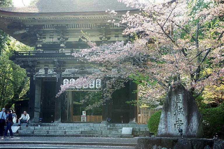 ラスト桜の三井寺到着　20180404_a0050572_18195319.jpg