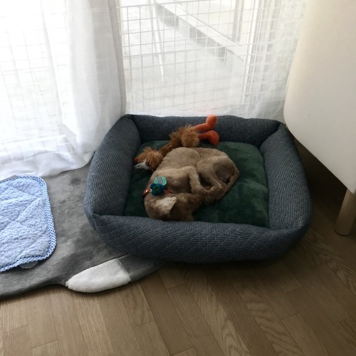 c0259887_16575688.jpeg