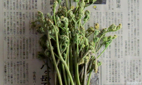 b0029488_11162762.jpg