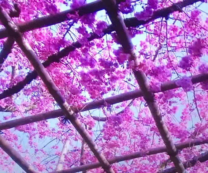 a0027290_21524091.jpeg