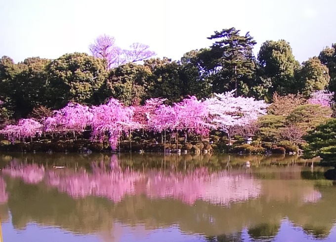 a0027290_21581085.jpeg