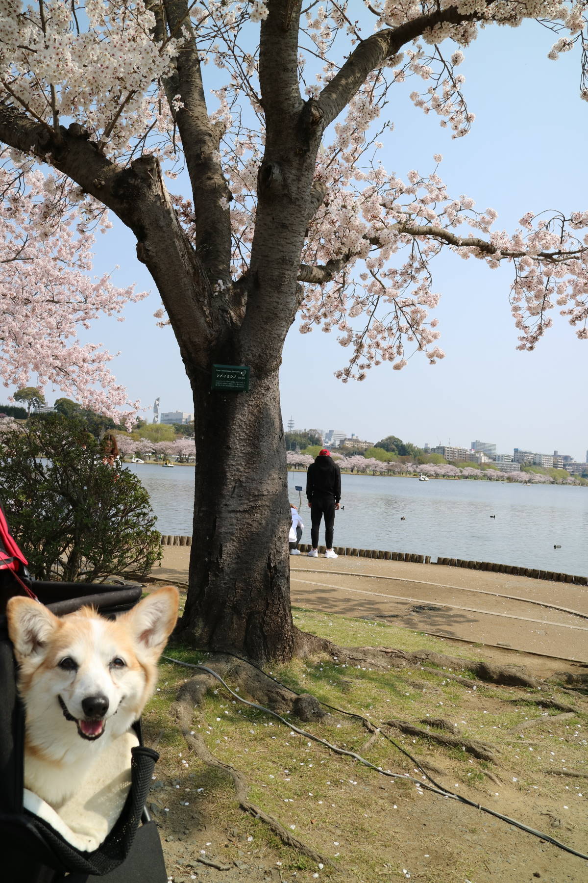 茨城への旅　その２　水戸_f0075595_00353818.jpg