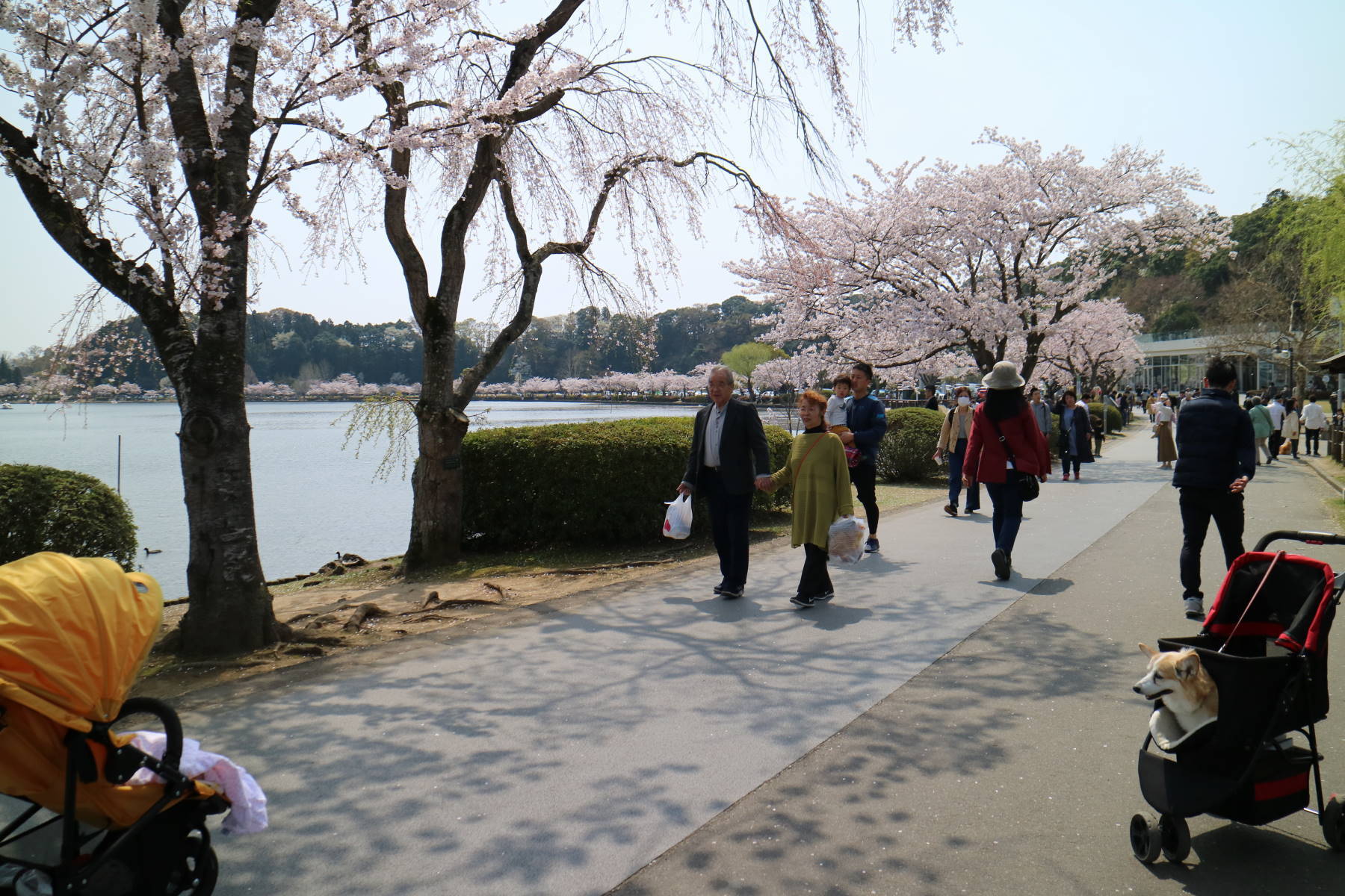 茨城への旅　その２　水戸_f0075595_00423314.jpg