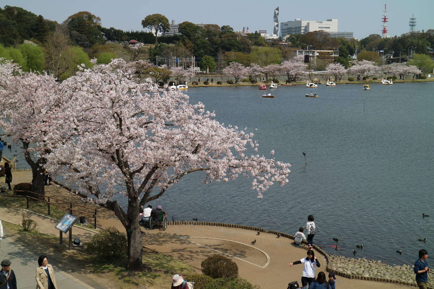 茨城への旅　その２　水戸_f0075595_00433363.jpg