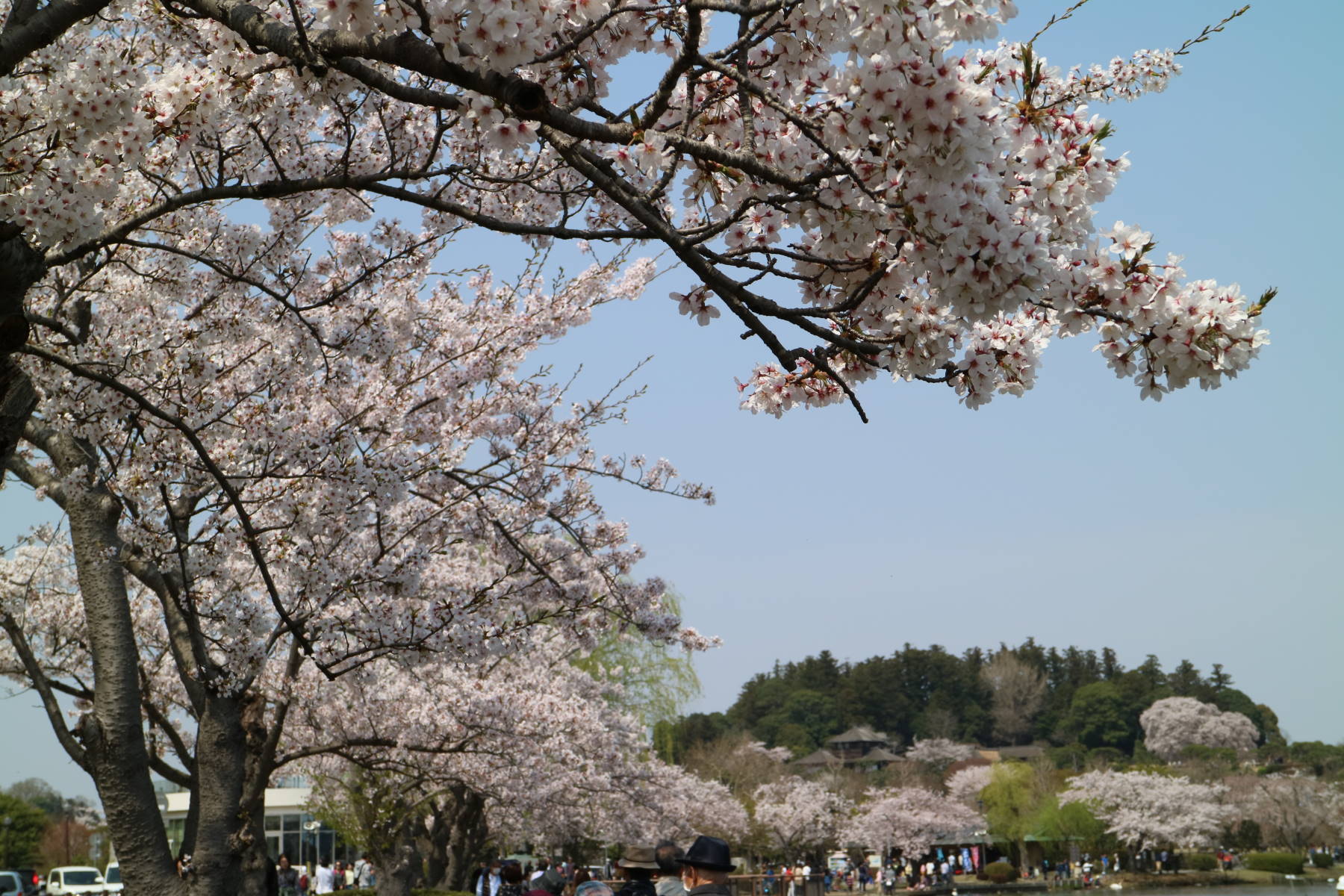 茨城への旅　その２　水戸_f0075595_00435168.jpg