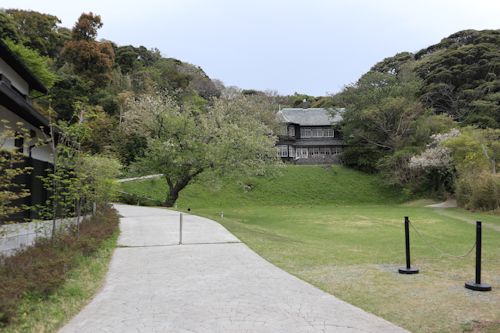 鎌倉散歩&Yちゃんちご飯♪_c0090198_19351963.jpg