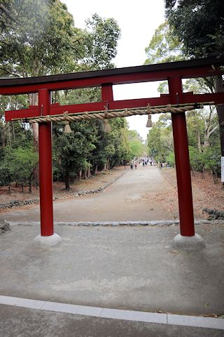 鎌倉散歩&Yちゃんちご飯♪_c0090198_19594432.jpg