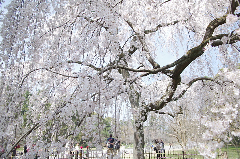 c0382798_08435805.jpg