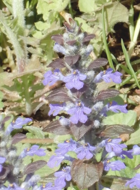 e0025300_17362092.jpg