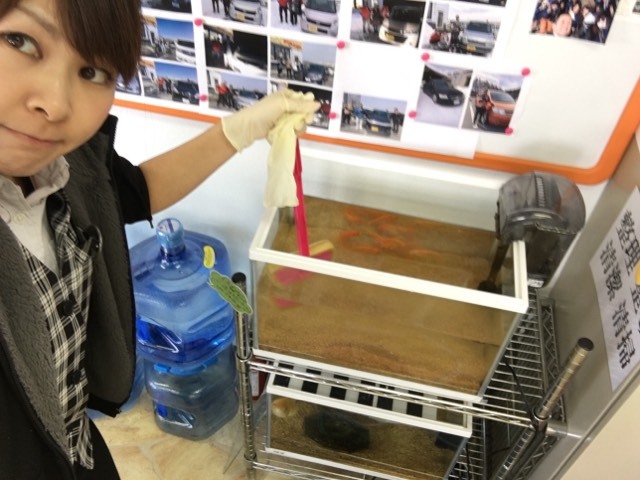 4月10日(火)☆TOMMYアウトレット☆あゆブログ(‥ºั⌔ºั‥ ) タントG様納車♪_b0127002_17084289.jpg
