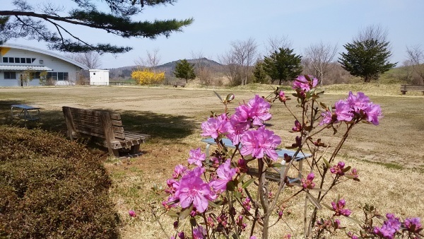 f0249602_20553636.jpg