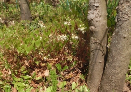 a0203003_16282923.jpg