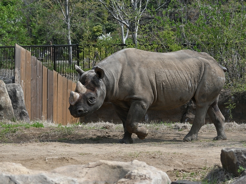 a0164204_12454643.jpg
