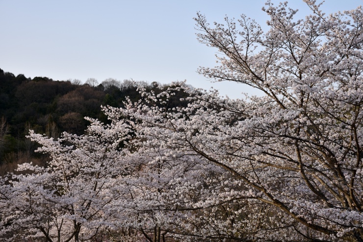 f0361605_20014252.jpg