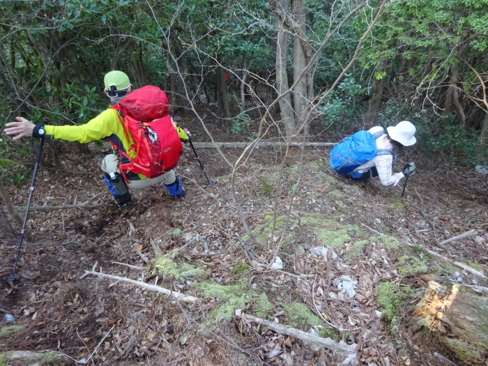 魔戸の滝～種子川造林道～兜岩～西赤石山～石ヶ山丈尾根～魔戸の滝　周遊_b0124306_16101603.jpg