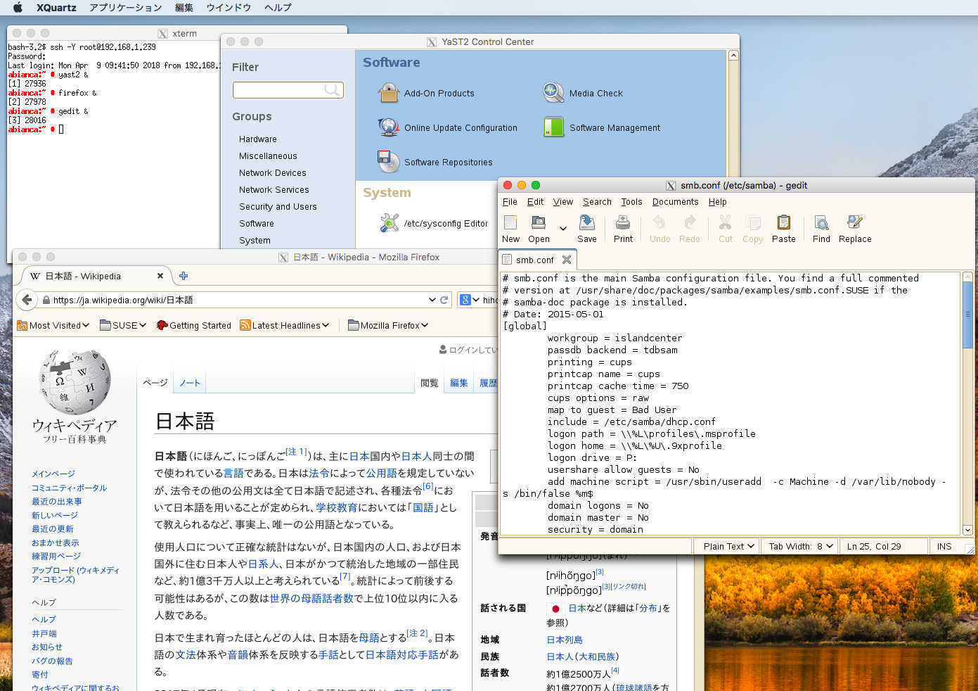 Mac からSUSE Linux のX アプリケーションを使う_a0056607_14292876.jpg