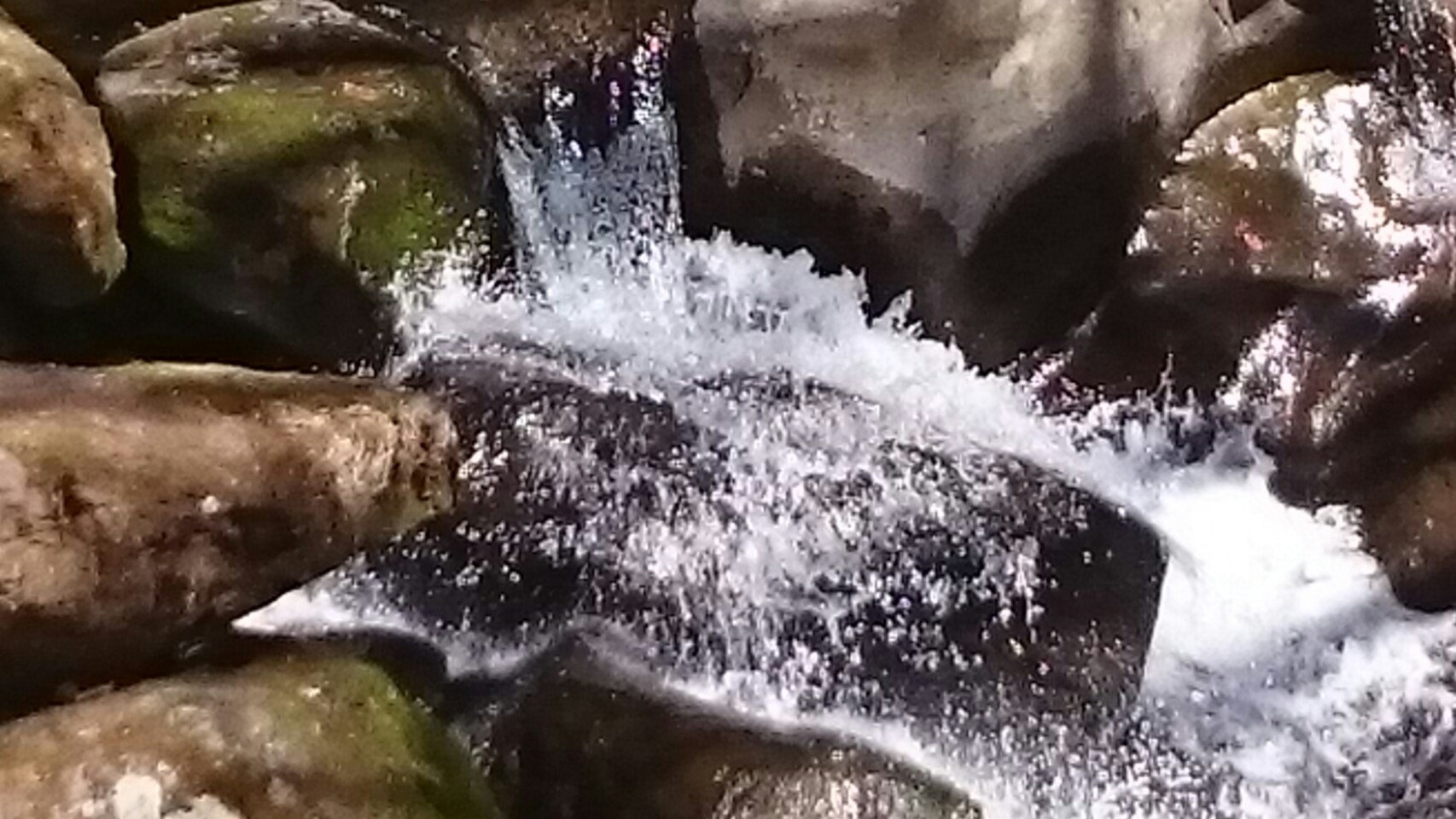 f0006208_16243554.jpg