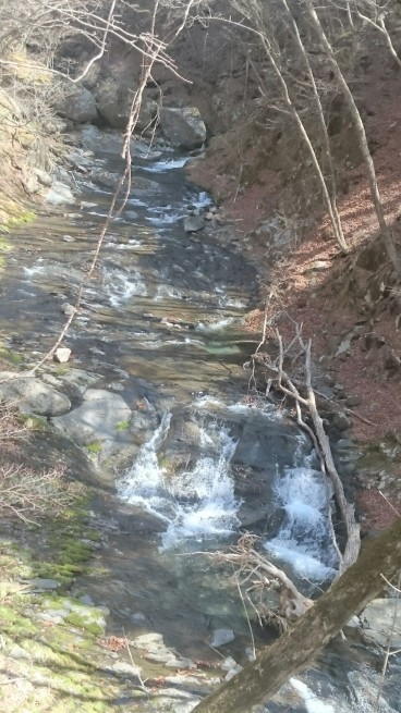 f0006208_16255033.jpg