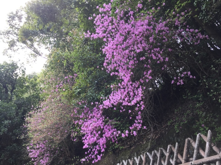 c0180209_00425069.jpeg