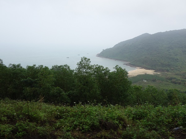 d0360509_16321546.jpg