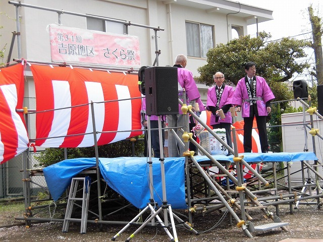 小潤井川はヤエザクラが見頃！　　北側でマンション建設が進む緑町公園で「吉原地区さくら祭」_f0141310_08184026.jpg