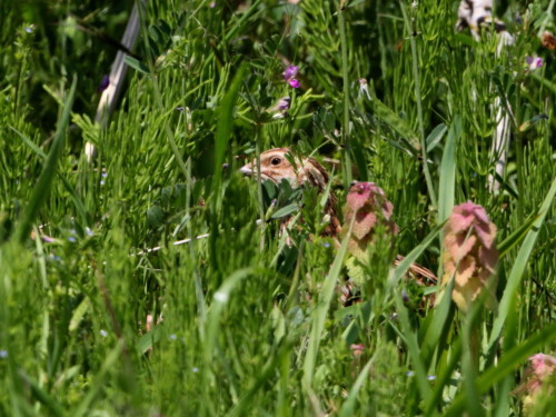 d0346713_17484389.jpg