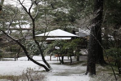 ～　清水園　桜と雪　～_e0135219_12571372.jpg