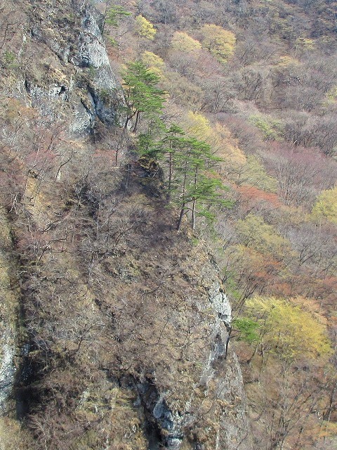 下仁田町　群馬チームで登った高立一本岩登攀記　　　　　Rock Climbing at Takadate Rock in Shimonita, Gunma_f0308721_21481394.jpg