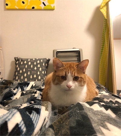 a0338323_21332829.jpeg