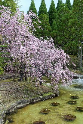 「湧永満之記念庭園」　　安芸高田市甲田町糘地_f0110023_19283186.jpg