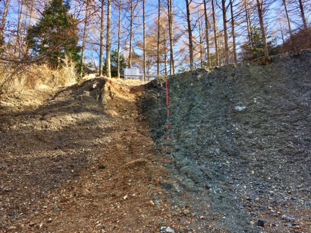 c0312430_17583756.jpeg