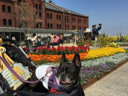 b0113232_16390851.jpeg