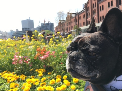 b0113232_16392724.jpeg