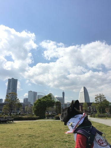 b0113232_18515390.jpeg
