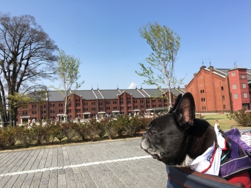 b0113232_18530364.jpeg