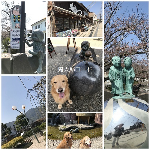 北九州遠征＆山陰旅行４ 出雲～境港_d0033336_11214322.jpg