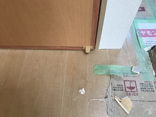 9日目・・・見えてきた、_f0031037_19095455.jpg