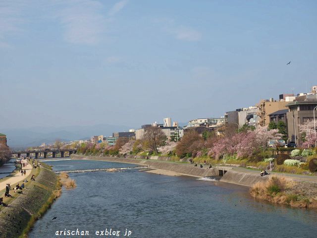 四条大橋からの桜＠京都の桜_f0295238_17254910.jpg