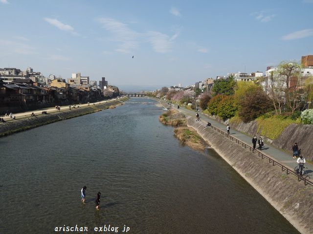 四条大橋からの桜＠京都の桜_f0295238_17274627.jpg