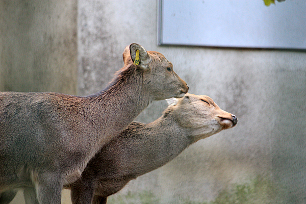 a0369439_22561479.jpg