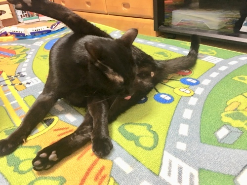 b0341440_05014500.jpeg
