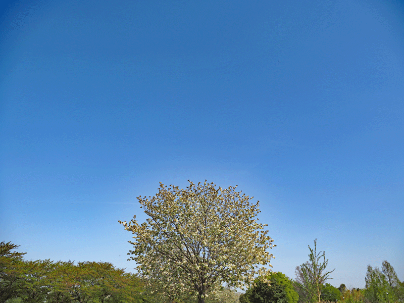 d0290240_14300927.gif