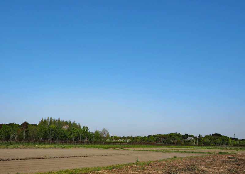 d0290240_14351694.gif