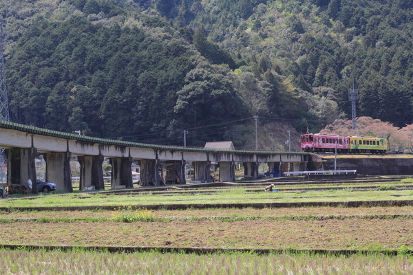 c0332548_07081223.jpg