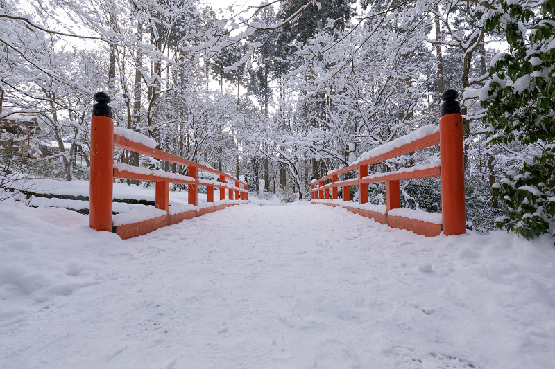 雪の京都2018　三千院雪景色（後編・有清園～奥の院）_f0155048_2211213.jpg