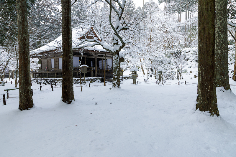 雪の京都2018　三千院雪景色（後編・有清園～奥の院）_f0155048_2264928.jpg