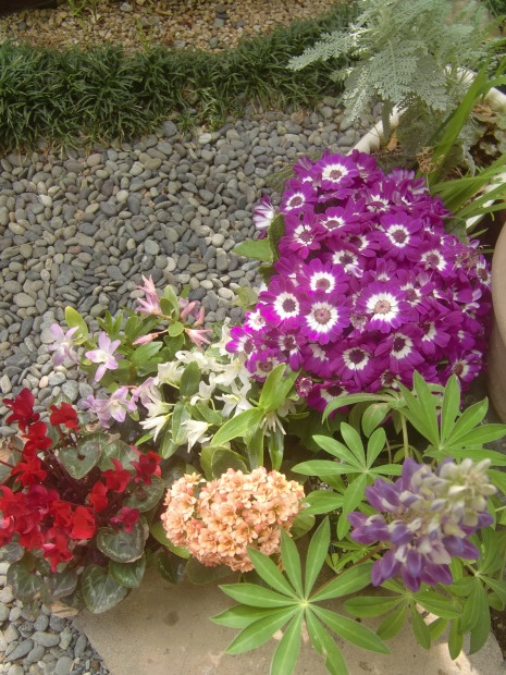 f0329849_23424995.jpg