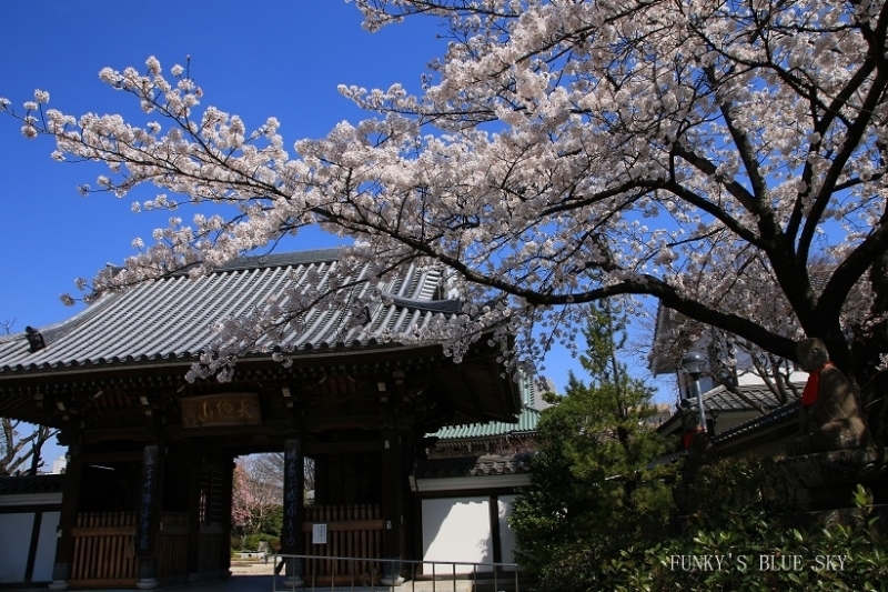 c0145250_11071330.jpg